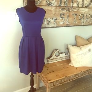 🏝NWOT Royal Blue L fit and flare pleated dress with pockets